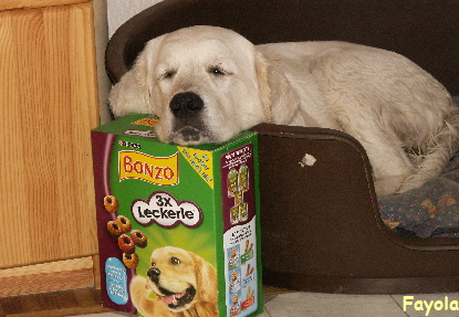 Fayola