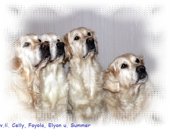 v.li. Celly, Fayola, Elyon u. Summer