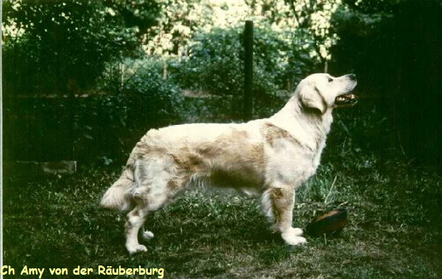 Ch Amy von der R�uberburg
