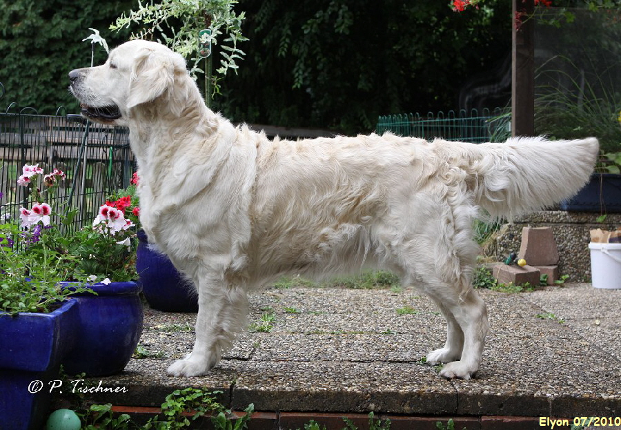Elyon 07/2010