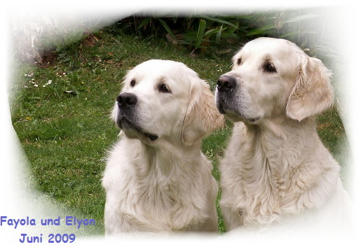 Fayola und Elyon
Juni 2009