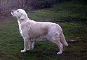 Anjuli2003