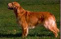 Barclay_co