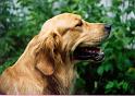 Barclay_kopf_co