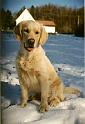 Beady_Schnee_co