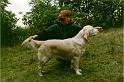 Beady_Stand11_co