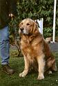 Bogart2002co