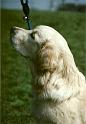 Buster_co