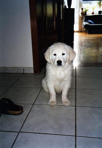 Crissy96.jpg