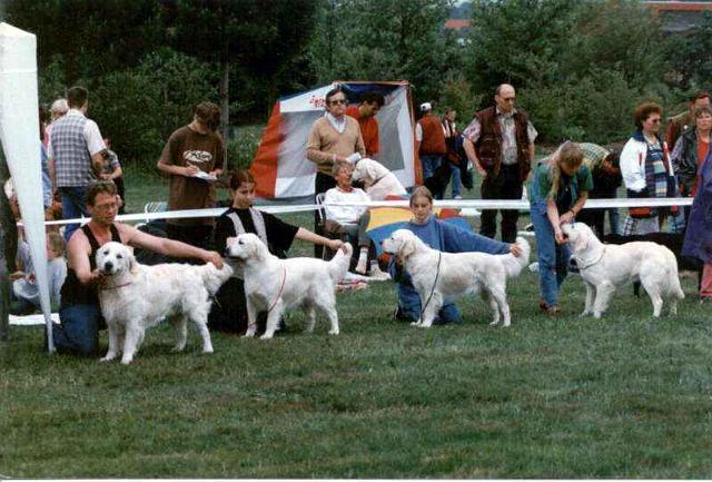 Zuchtgruppe97co.jpg - Zuchtgruppe C-Wurf Clubschau 97