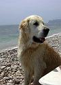 Chad_2005_023.