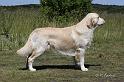 IMG_1934A
