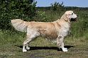 IMG_2025A