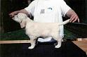 Darleen_11_7_97co