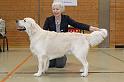 IMG_3380V
