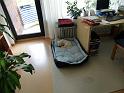 CIMG0456