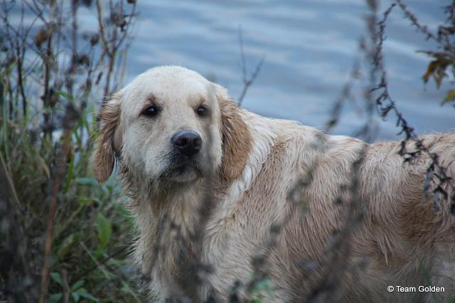 IMG_8824.JPG - Josie