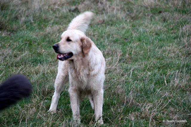 IMG_8855.JPG - Josie
