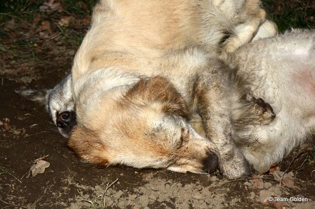 IMG_8867.JPG - Josie ist oben