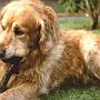 Sunbeam Gentle Amos Morning Coffee
26.11.1992 - 27.05.2005