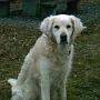 Sunbeam Gentle Beverley Even Love
21.09.1994 - 10.08.2006