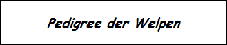 Pedigree der Welpen